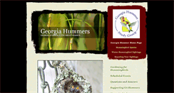 Desktop Screenshot of gahummer.org